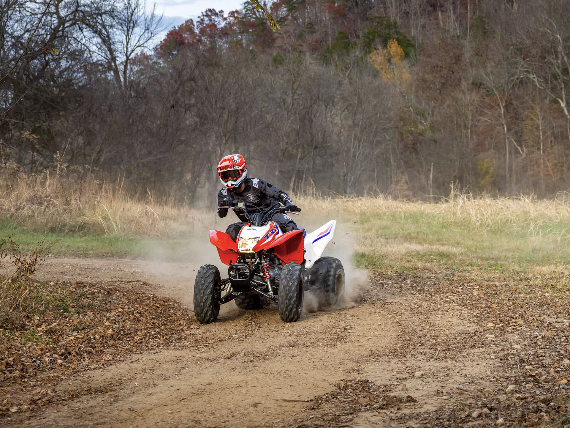 2025 Honda TRX250X in Wilkesboro, North Carolina - Photo 11