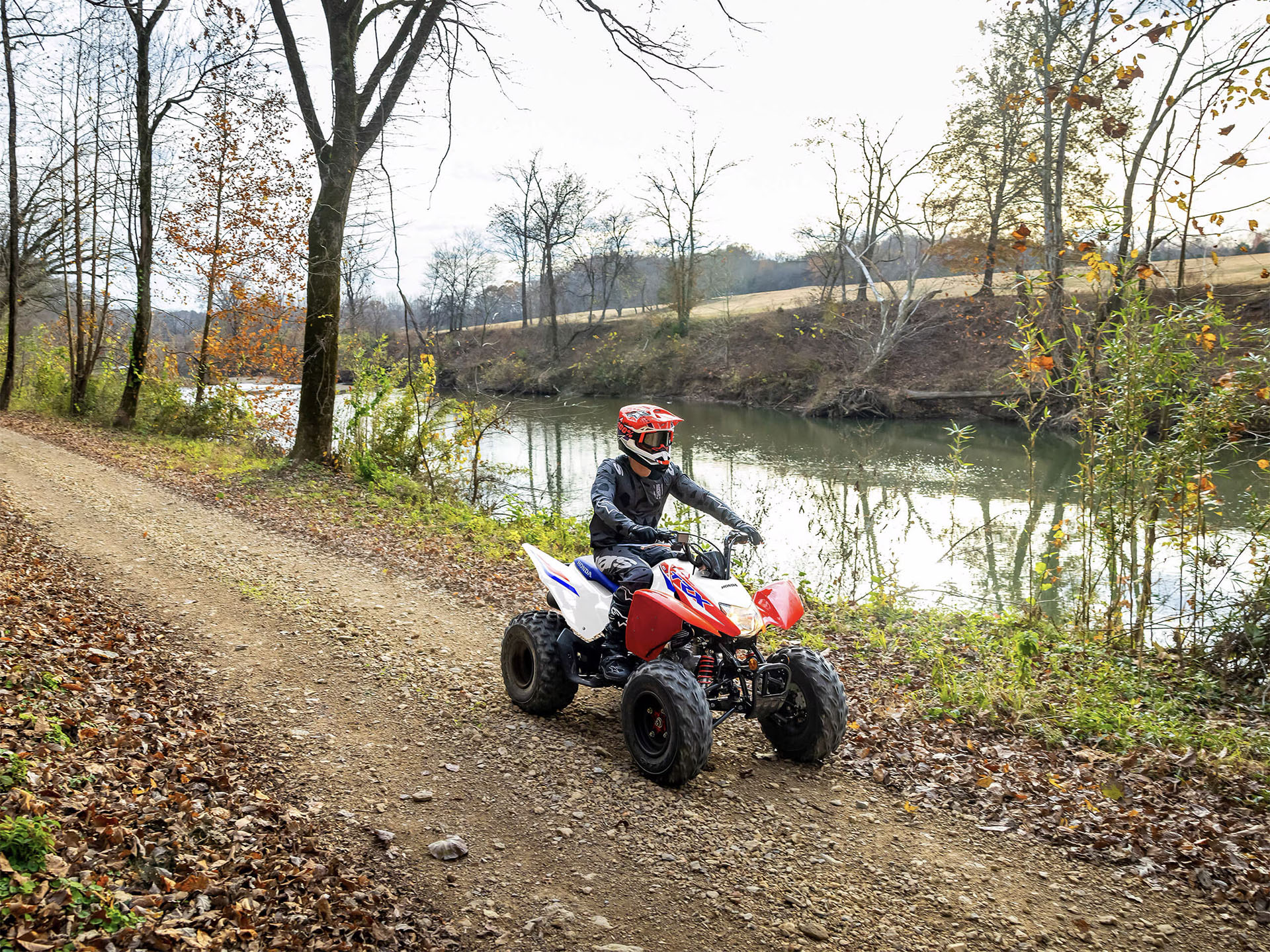 2025 Honda TRX250X in Algona, Iowa - Photo 12