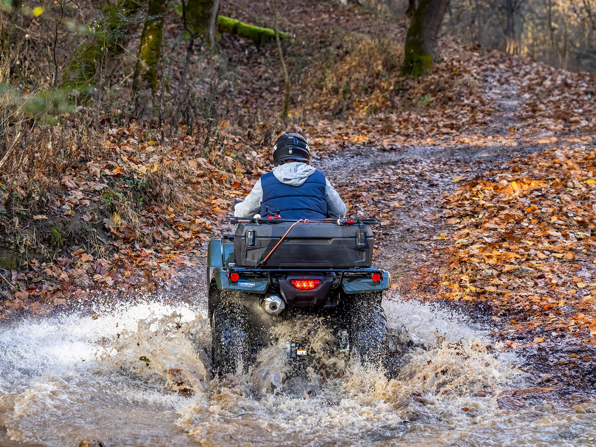 2025 Honda FourTrax Foreman 4x4 in Woodinville, Washington - Photo 8