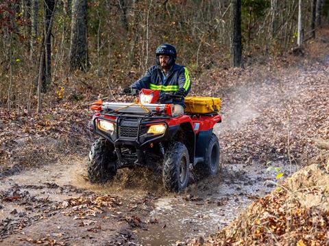 2025 Honda FourTrax Foreman 4x4 in Elkhart, Indiana - Photo 9