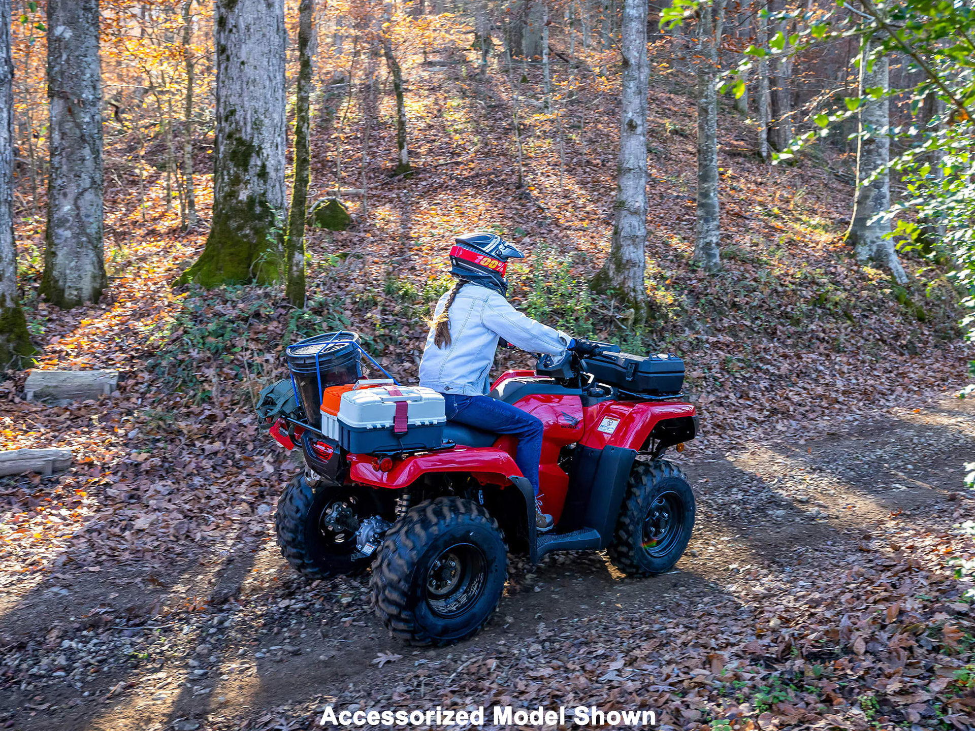 2025 Honda FourTrax Rancher 4x4 Automatic DCT IRS EPS in Aurora, Illinois - Photo 9