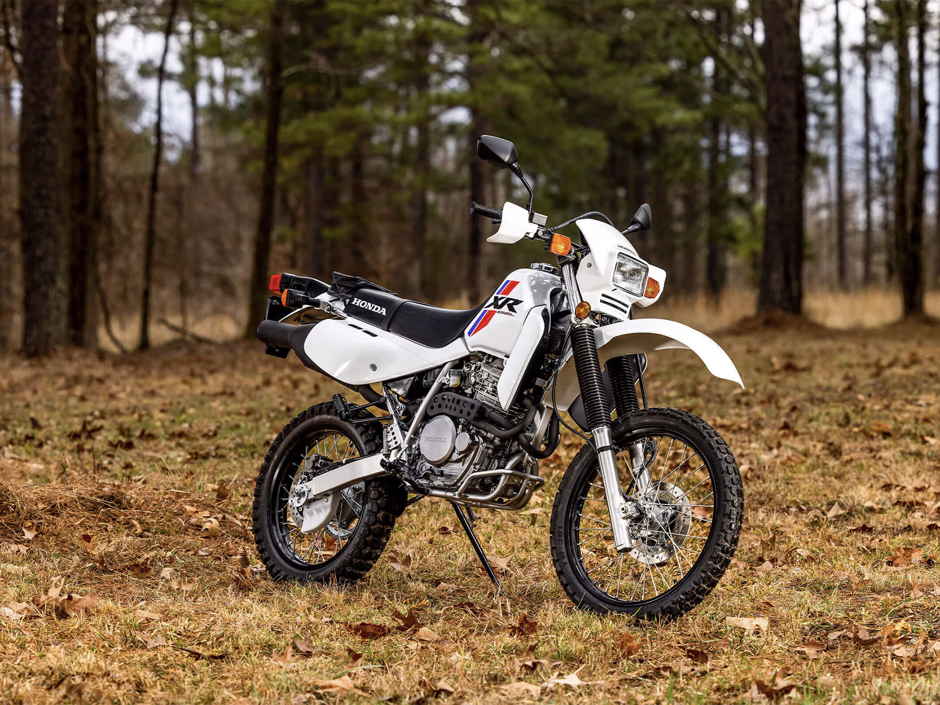 2025 Honda XR650L in Gulfport, Mississippi - Photo 6