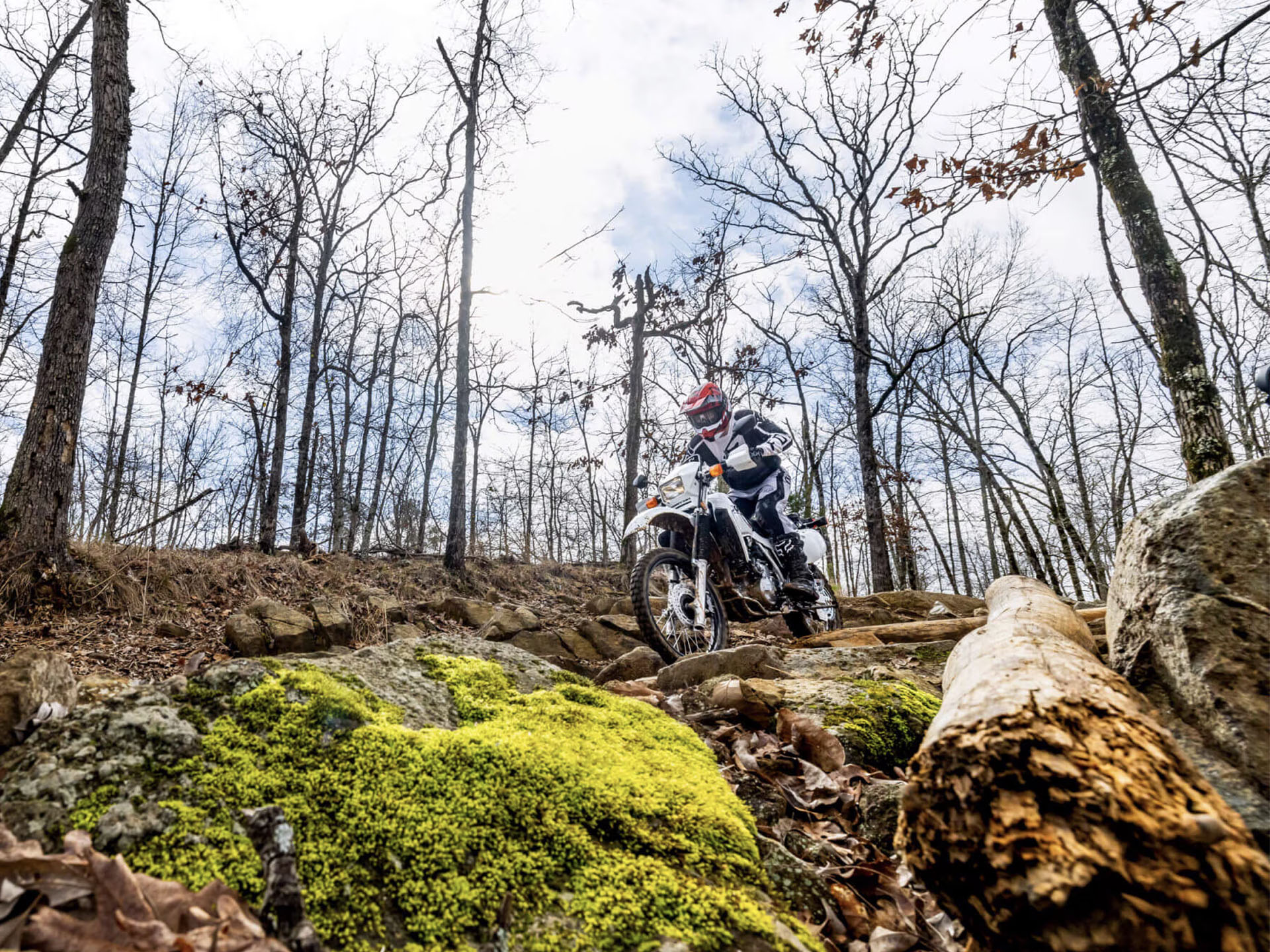 2025 Honda XR650L in Amherst, Ohio - Photo 7