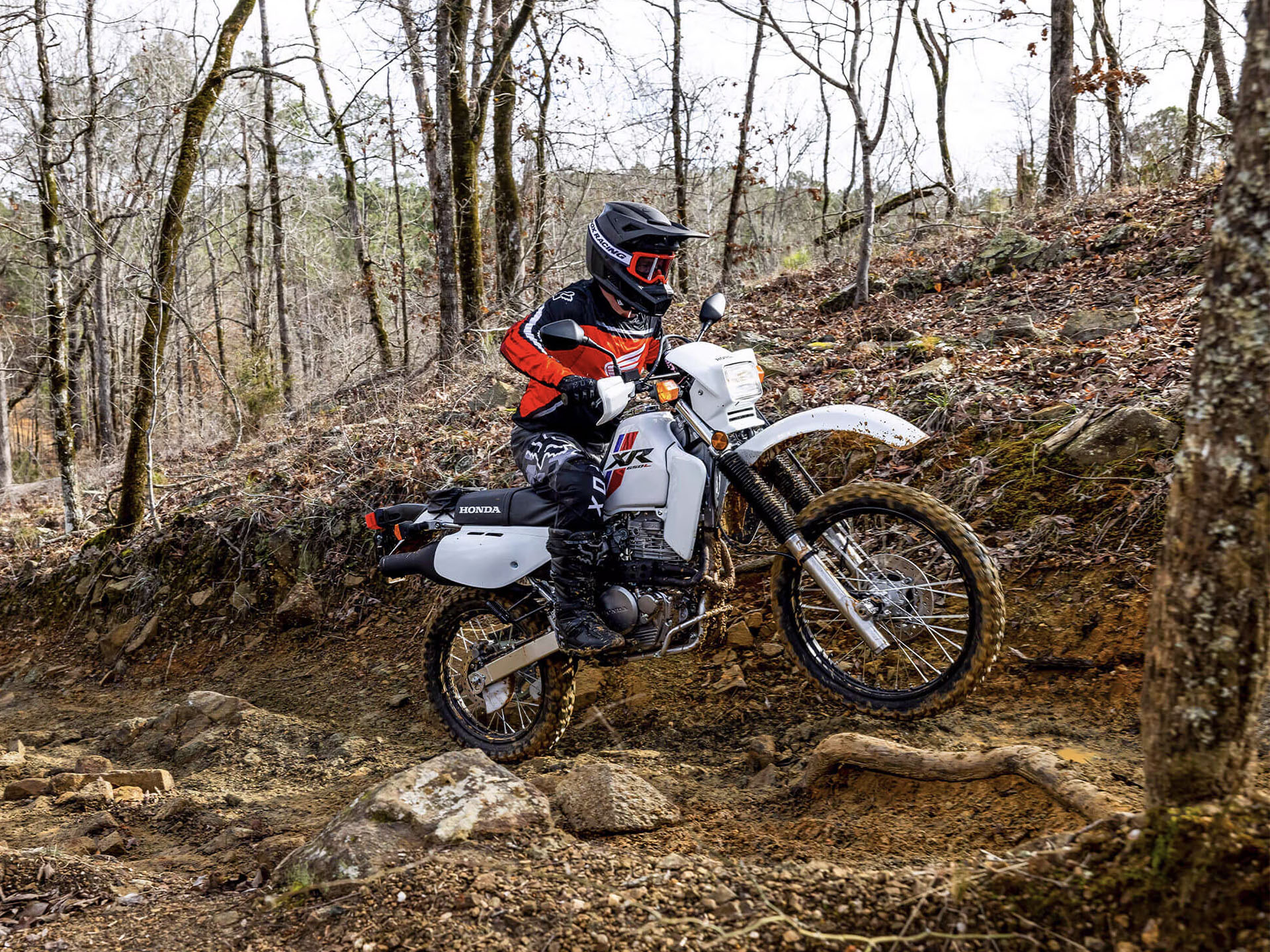 2025 Honda XR650L in Wilkesboro, North Carolina - Photo 8