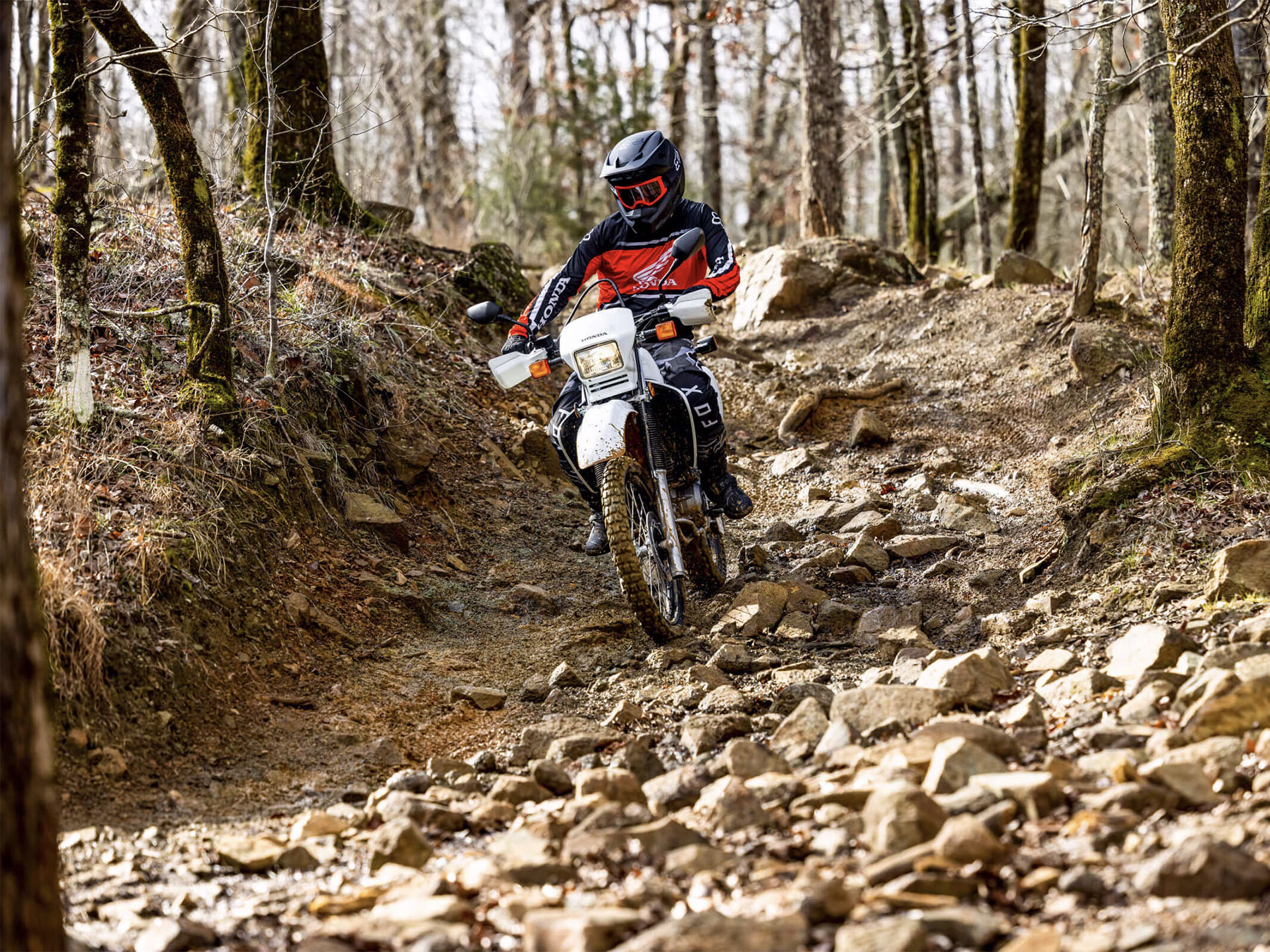 2025 Honda XR650L in Albuquerque, New Mexico - Photo 10