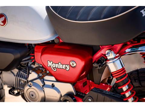 2025 Honda Monkey ABS in Sedalia, Missouri - Photo 4