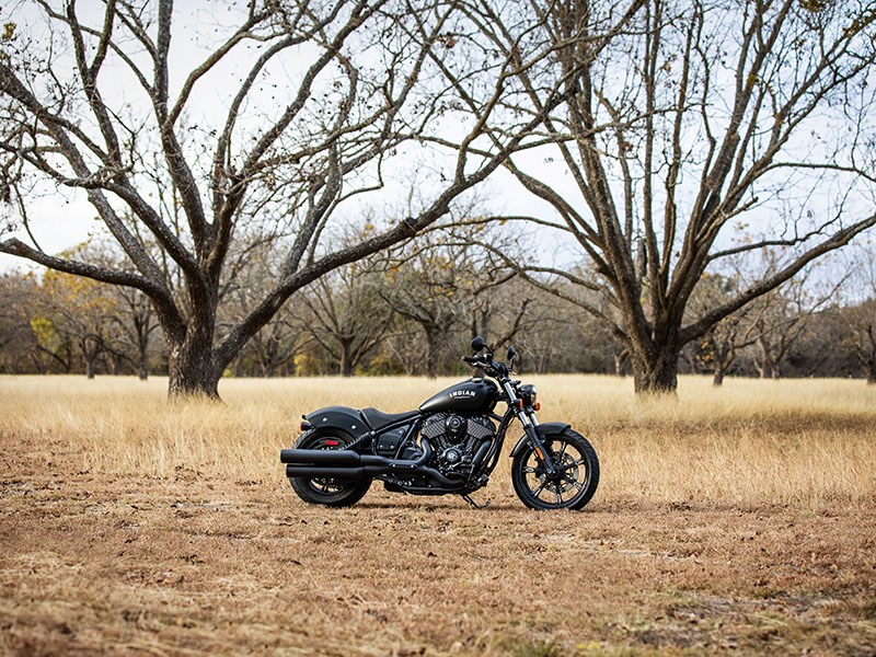 2022 Indian Motorcycle Chief Dark Horse® in Elkhart, Indiana - Photo 8