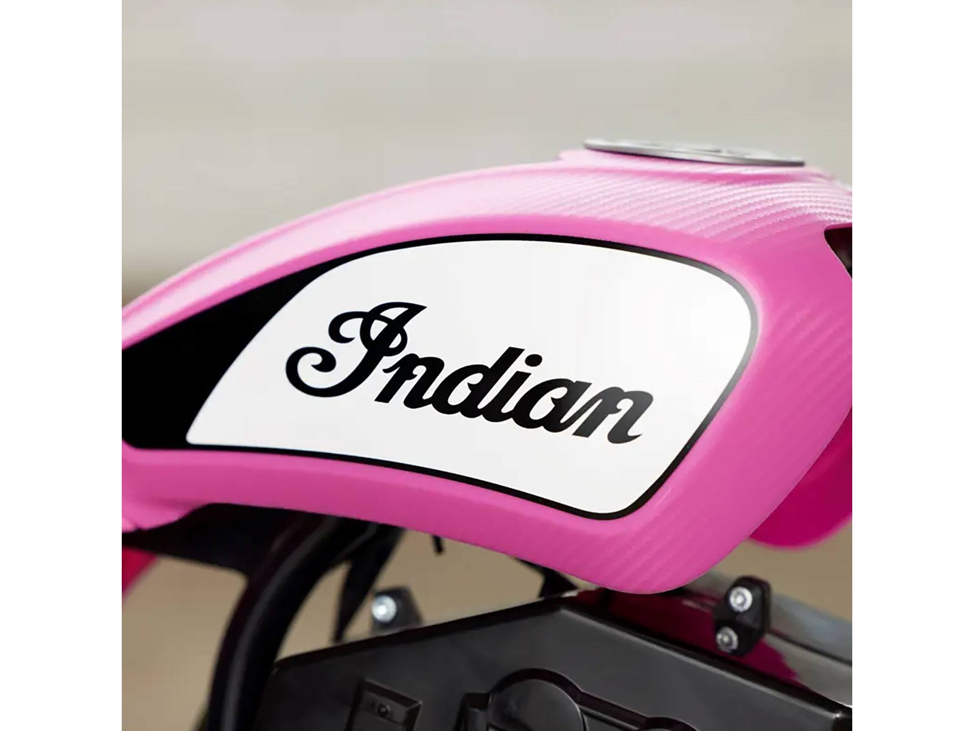 2024 Indian Motorcycle eFTR Mini in Elkhart, Indiana - Photo 7