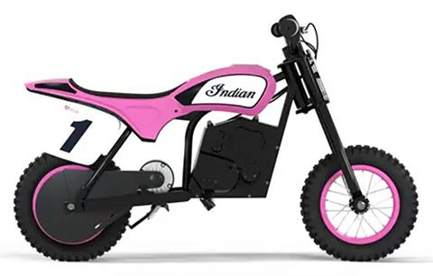 2024 Indian Motorcycle eFTR Mini