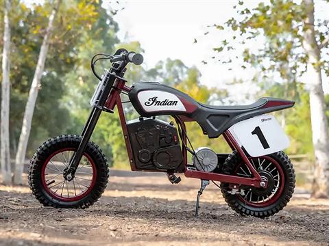 2024 Indian Motorcycle eFTR Mini in Elkhart, Indiana - Photo 15