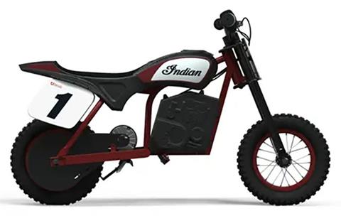 2024 Indian Motorcycle eFTR Mini