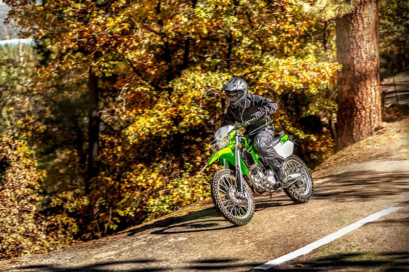 2022 Kawasaki KLX 300 in Danville, West Virginia - Photo 7