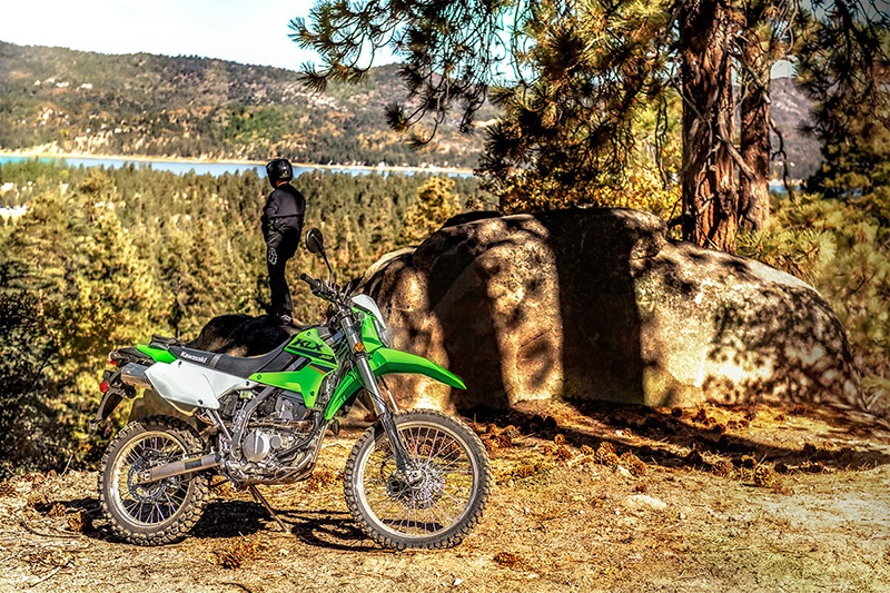 2022 Kawasaki KLX 300 in Merced, California - Photo 6