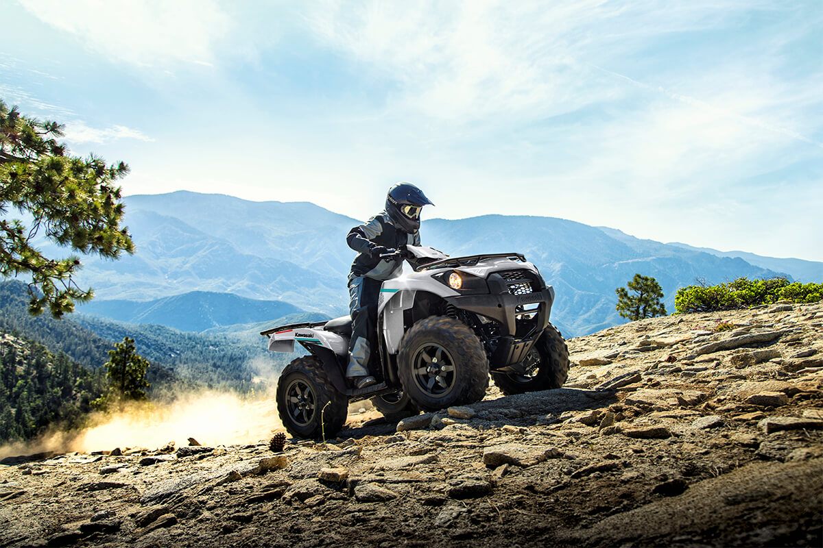 2023 Kawasaki Brute Force 750 4x4i EPS in Pikeville, Kentucky - Photo 8