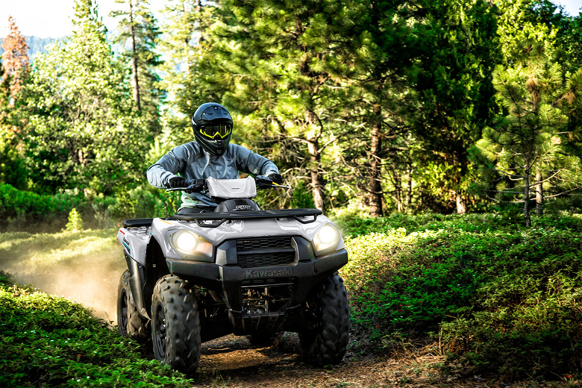 2023 Kawasaki Brute Force 750 4x4i EPS in Middletown, New York - Photo 5