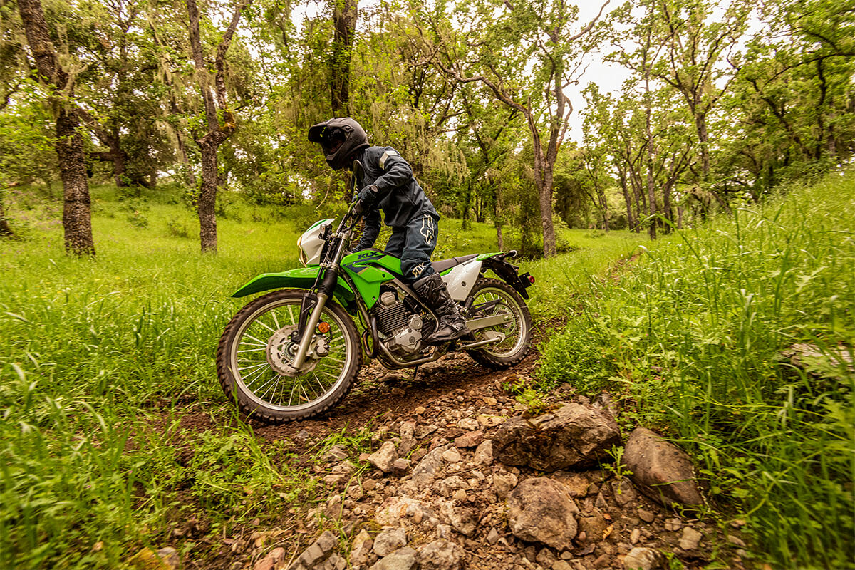 2022 Kawasaki KLX 230S ABS in Hicksville, New York - Photo 4