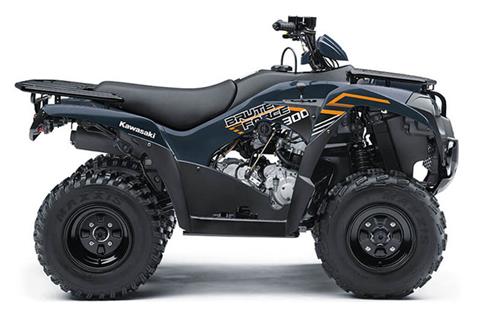 2024 Kawasaki Brute Force 300 in Vincentown, New Jersey - Photo 7