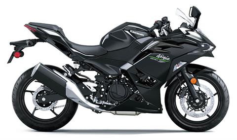 2024 Kawasaki Ninja 500 ABS in Florence, Kentucky