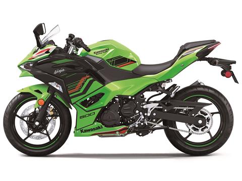 2024 Kawasaki Ninja 500 KRT Edition in Florence, Kentucky - Photo 2