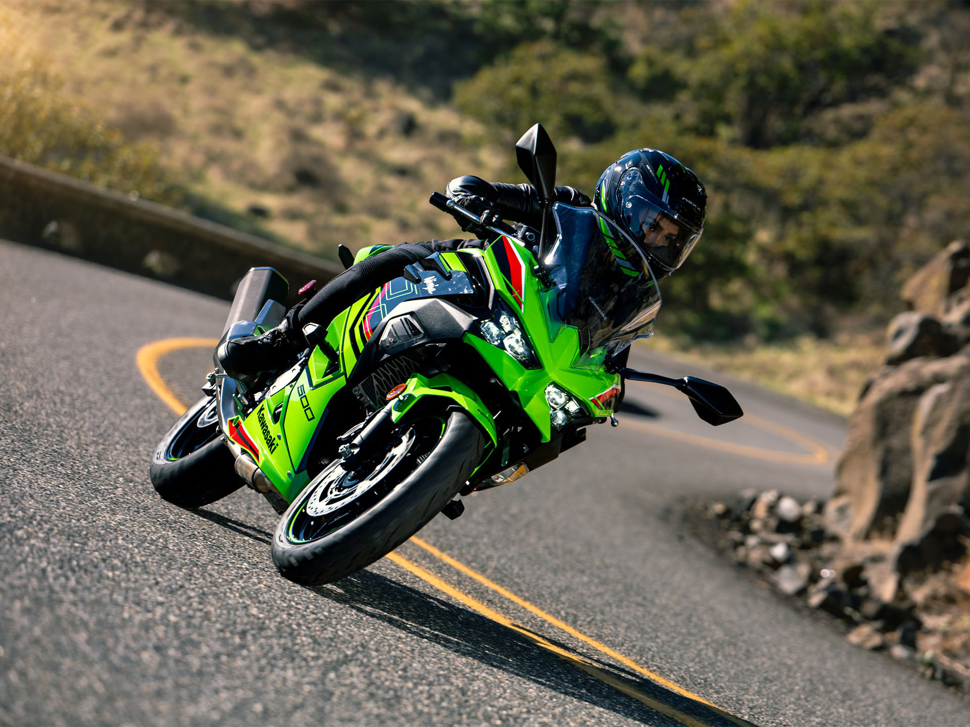 2024 Kawasaki Ninja 500 KRT Edition SE ABS in Santa Maria, California - Photo 15