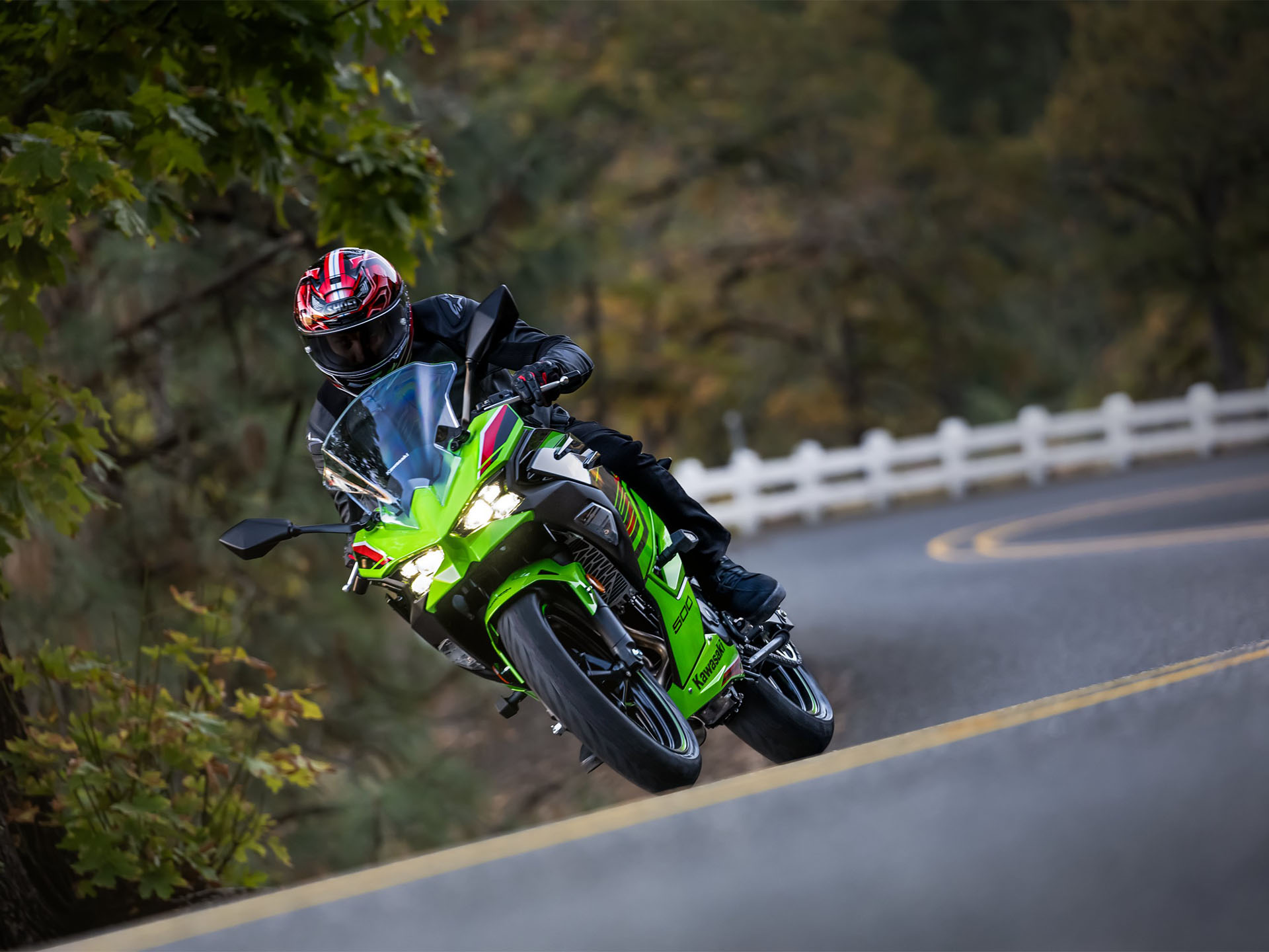 2024 Kawasaki Ninja 500 KRT Edition SE ABS in Paso Robles, California - Photo 18