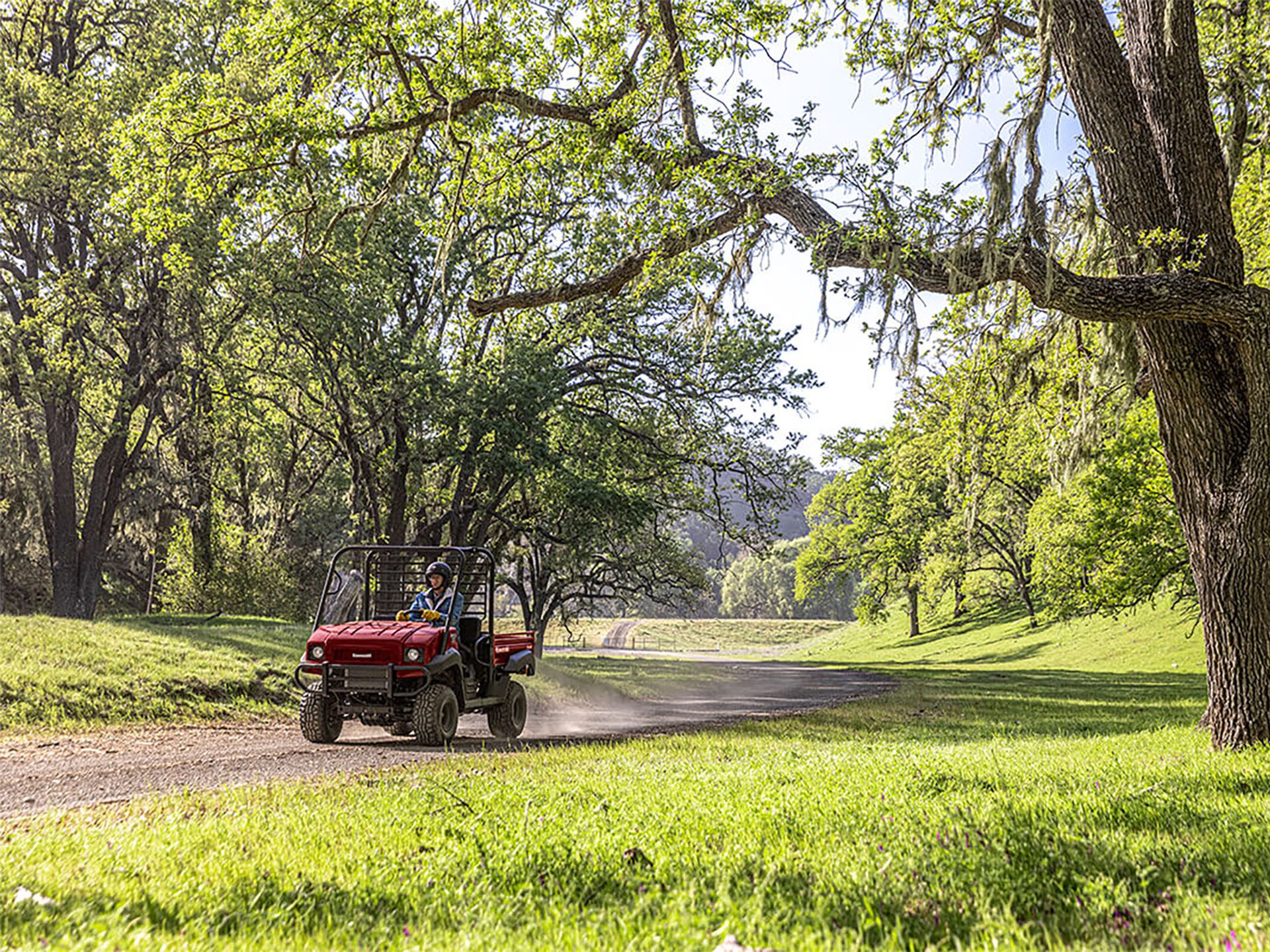 2024 Kawasaki MULE 4010 4x4 in Brunswick, Georgia - Photo 7