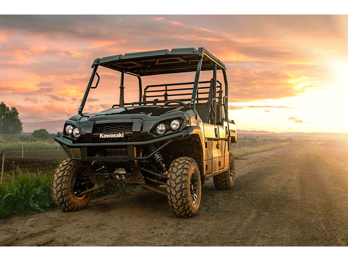 New 2024 Kawasaki Mule PROFXT 1000 LE Utility Vehicles in South