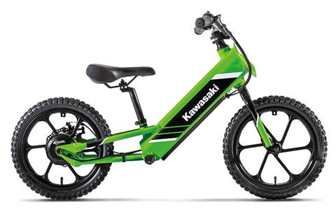 2025 Kawasaki Elektrode 16