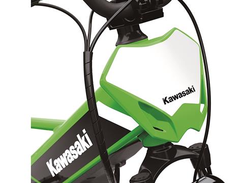 2025 Kawasaki Elektrode 20 in Versailles, Indiana - Photo 3