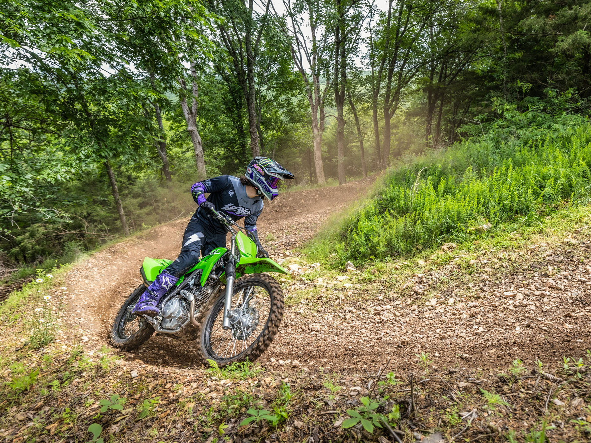 2025 Kawasaki KLX 230R S in Massillon, Ohio - Photo 5