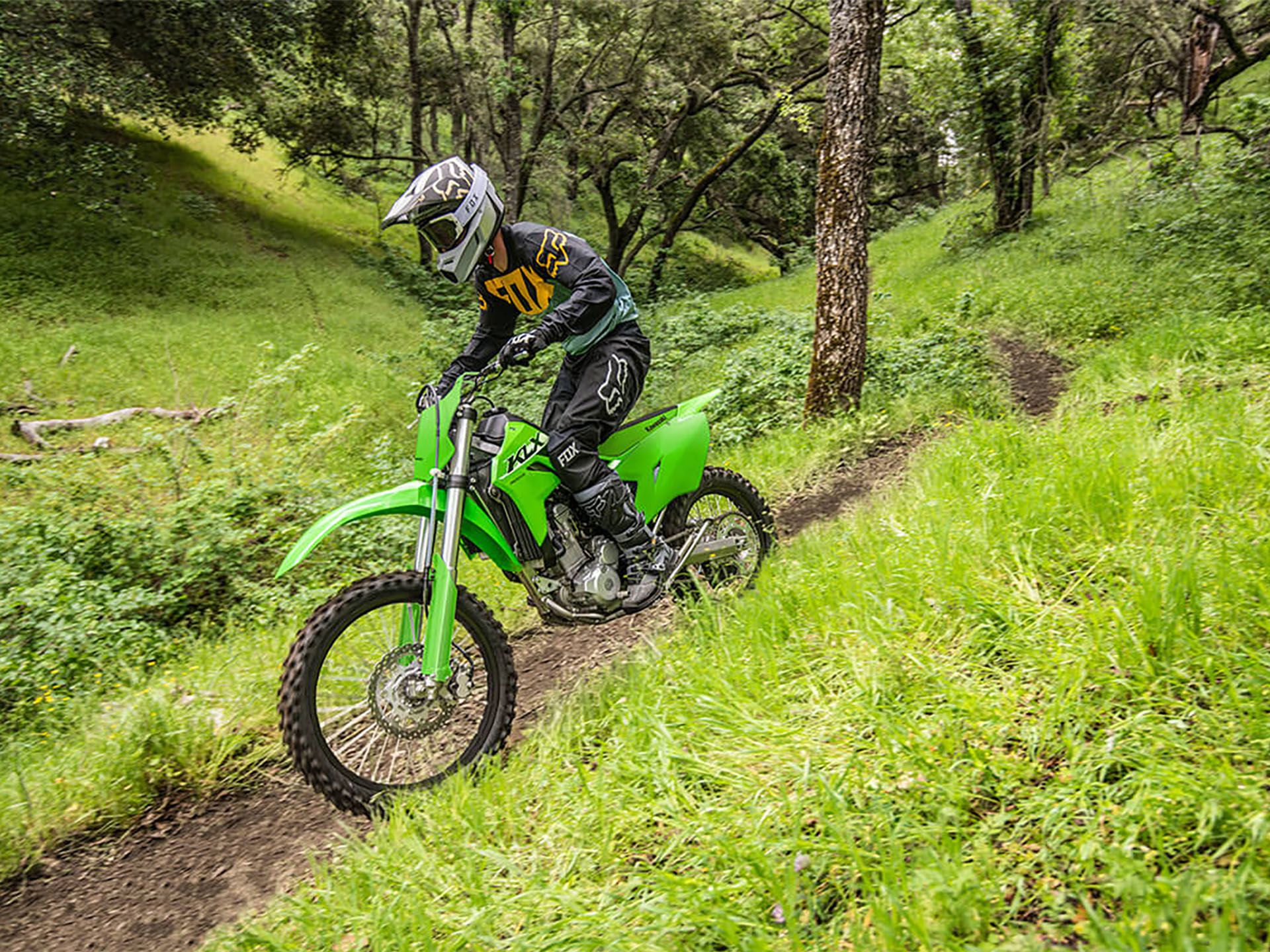 2025 Kawasaki KLX 300R in Massillon, Ohio - Photo 5