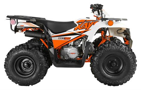 2025 Kayo Bull 125 in Orange, Texas