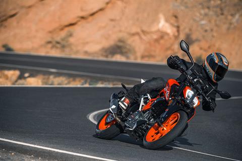 2019 KTM 390 Duke in Santa Maria, California - Photo 3