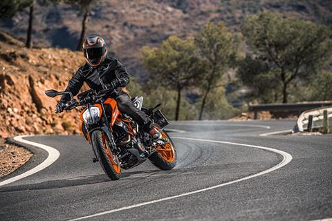 2019 KTM 390 Duke in Santa Maria, California - Photo 4