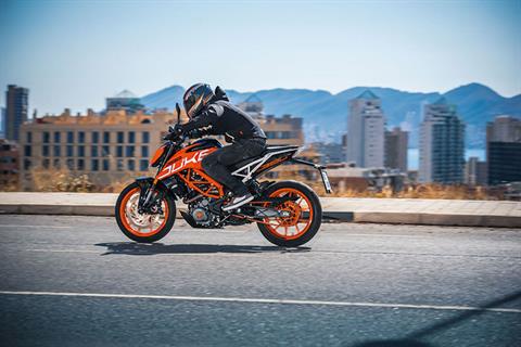 2019 KTM 390 Duke in Santa Maria, California - Photo 5