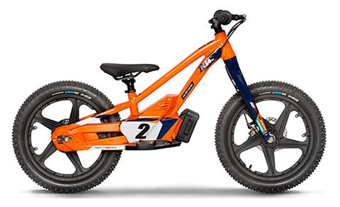 2023 KTM 18eDrive Factory Edition in Shelby Township, Michigan