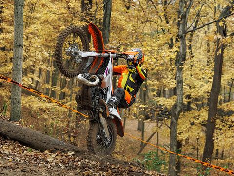 2024 KTM 250 XC in Shelby Township, Michigan - Photo 11