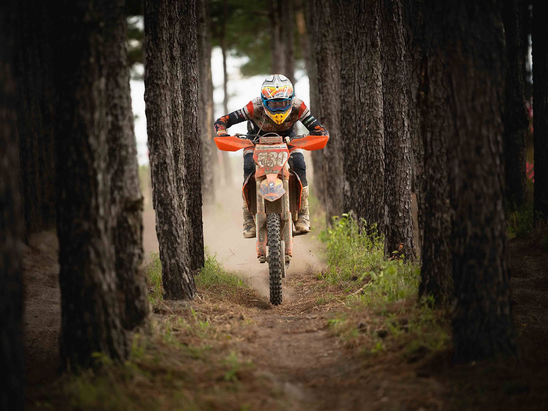 2024 KTM 350 XC-F Factory Edition in Bend, Oregon - Photo 10