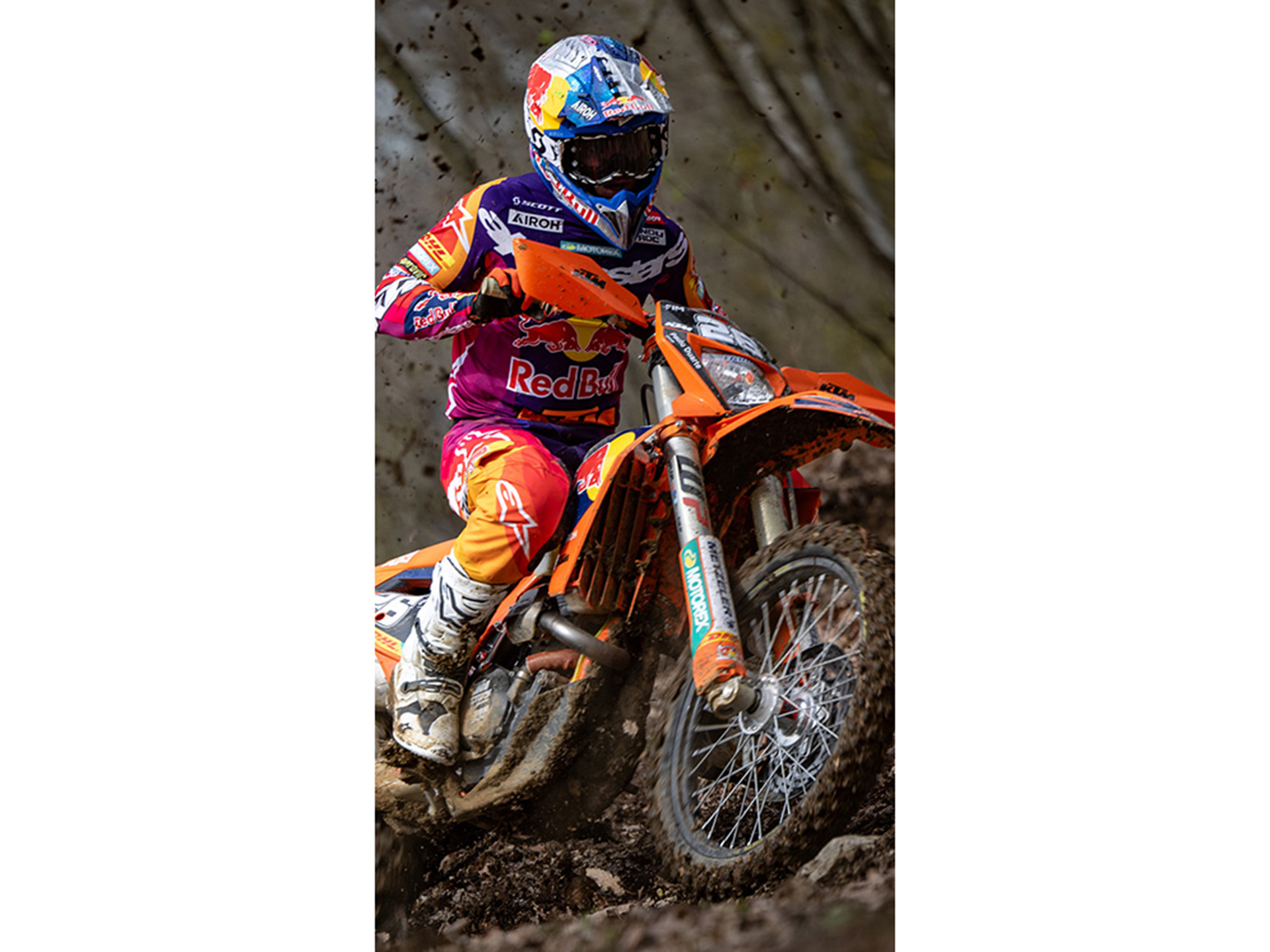 2025 KTM 350 EXC-F Champion Edition in Loveland, Colorado - Photo 15