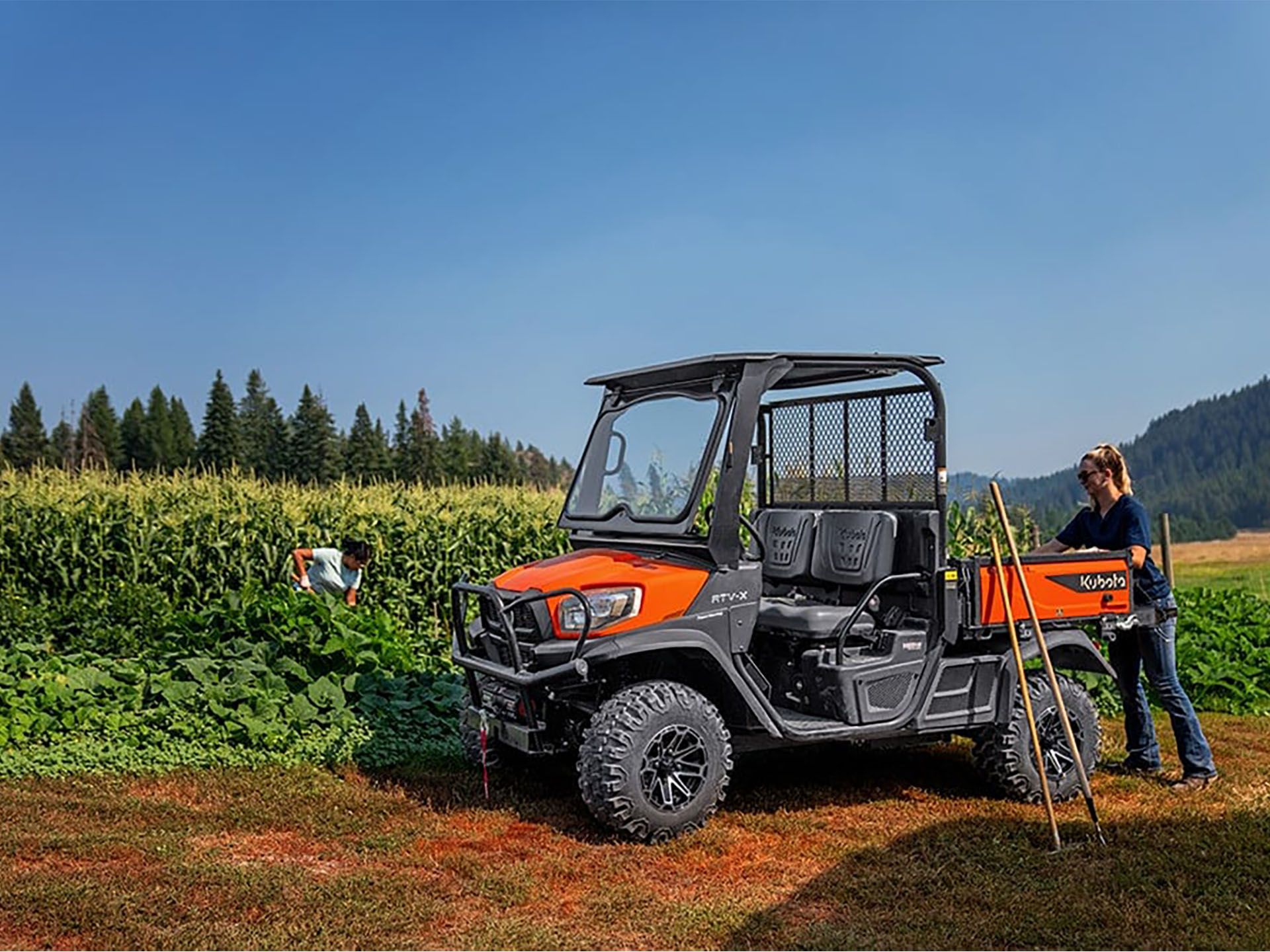 2024 Kubota RTV-X Basic in Norfolk, Virginia - Photo 3