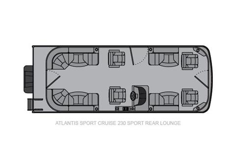 2020 Landau Atlantis 230 Cruise Sport Rear Lounge in Hazelhurst, Wisconsin - Photo 10
