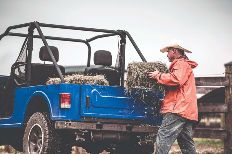 2019 Mahindra Roxor ROXOR Offroad A/T in Madison, Indiana - Photo 35