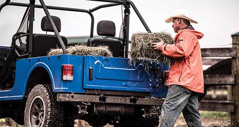 2020 Mahindra Roxor ROXOR Offroad in Santa Maria, California - Photo 11