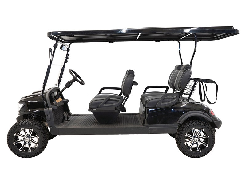 2021 Massimo MGC4 48V Golf Cart in Davison, Michigan - Photo 4