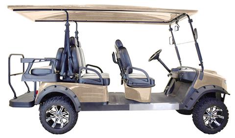 2022 Massimo GMF4X Electric Golf Cart in Davison, Michigan - Photo 3