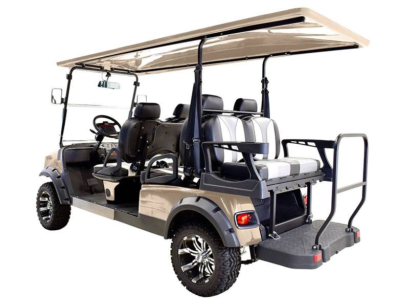 2022 Massimo GMF4X Electric Golf Cart in Davison, Michigan - Photo 6