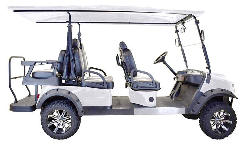 2022 Massimo GMF4X Electric Golf Cart in Harrison, Michigan - Photo 3