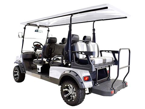 2022 Massimo GMF4X Electric Golf Cart in Davison, Michigan - Photo 6