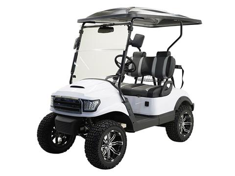 2022 Massimo MGC2X 48V Golf Cart in Harrison, Michigan