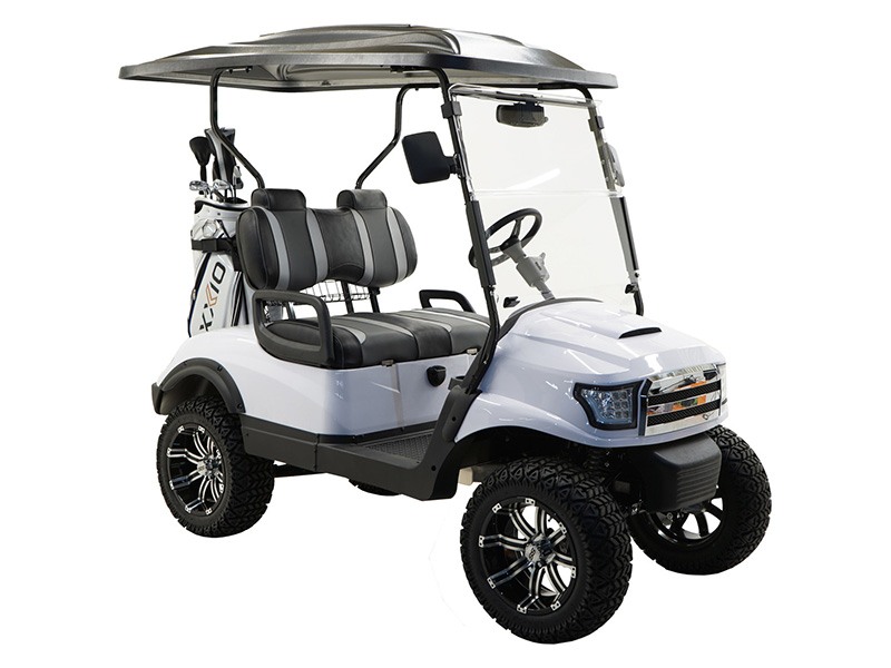 2022 Massimo MGC2X 48V Golf Cart in Harrison, Michigan - Photo 2